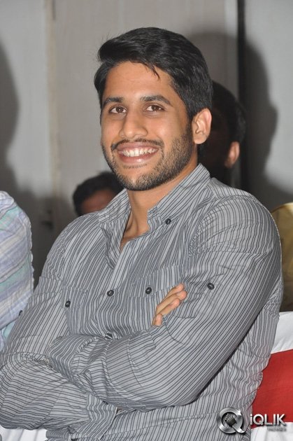 Oka-Laila-Kosam-Movie-Success-Meet